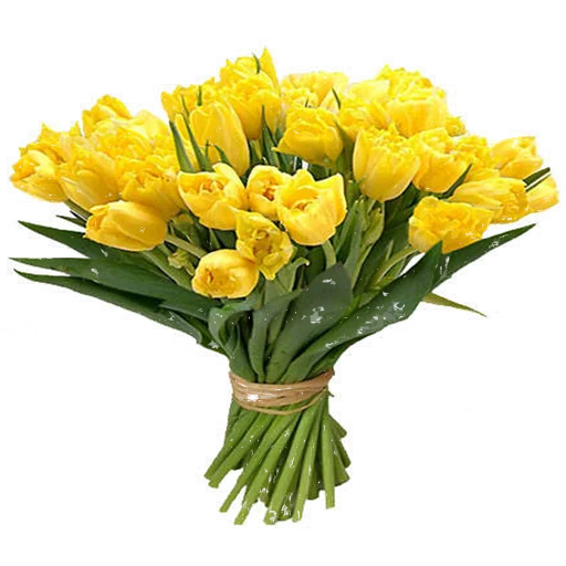 Flowers Collection Animated Images Gif