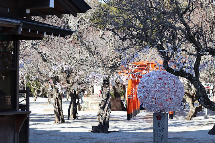 ノートの新年のご挨拶・神社参拝・猫ちゃん・一眼レフ初心者・誕生日だったに関するカスタム事例の投稿画像10枚目
