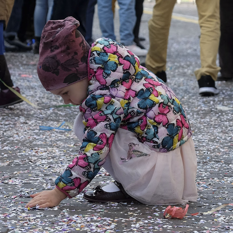 persa in briciole di colori di elisabetta_de_carli