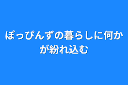 ぽっぴんずの暮らしに何かが紛れ込む