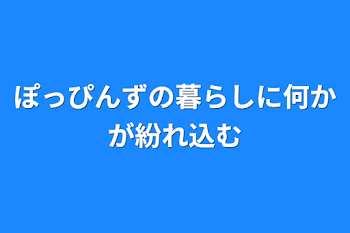 ぽっぴんずの暮らしに何かが紛れ込む