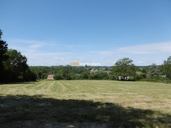 terrain à Lignieres (18)