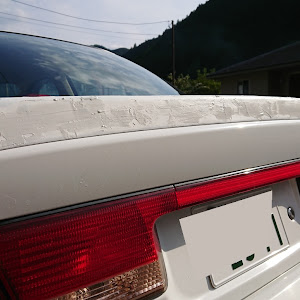 サニー FB15