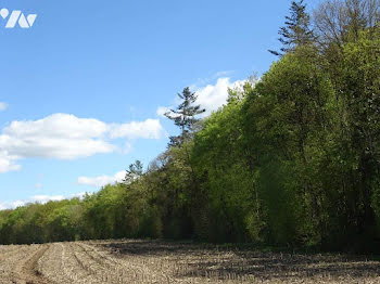 terrain à Arçonnay (72)