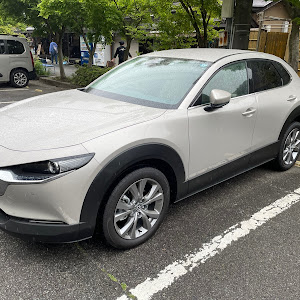 CX-30 DMEP