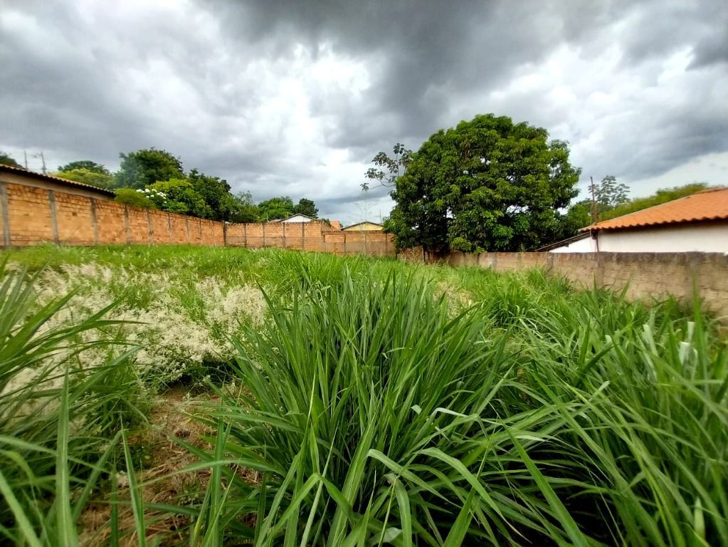 Lote / Terreno