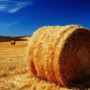 The Palouse Fields LWP  Icon