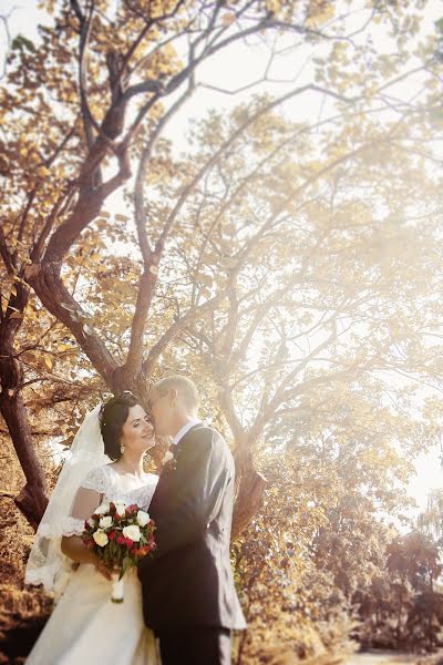 Fotógrafo de casamento Remita Moshkova (remita). Foto de 4 de novembro 2015