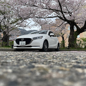 MAZDA2 DJLFS