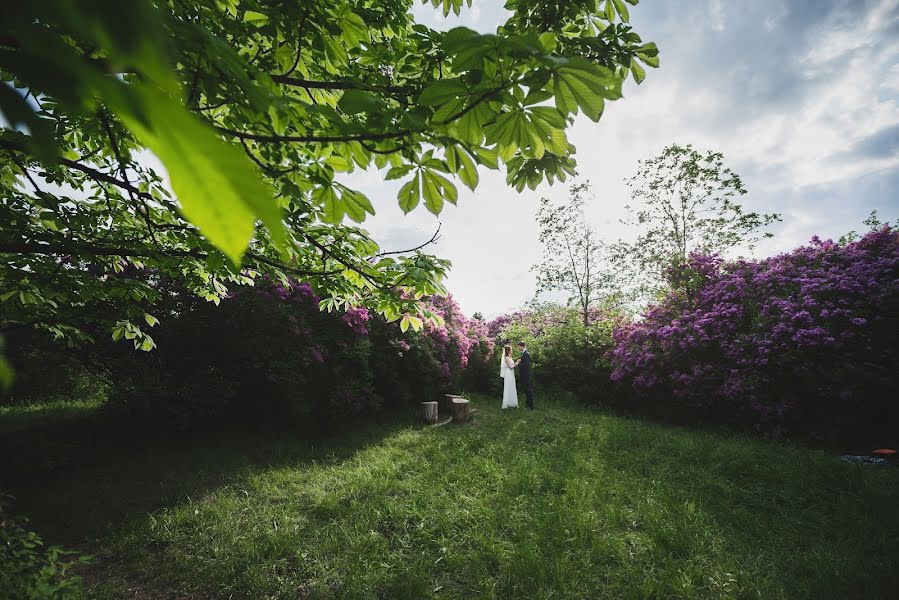 Wedding photographer Irina Kotlyar (irakotlyar). Photo of 23 September 2015