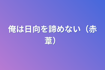 俺は日向を諦めない（赤葦）