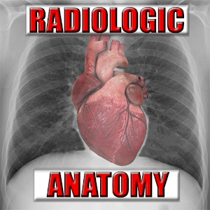 Radiologic Anatomy MD Imaging