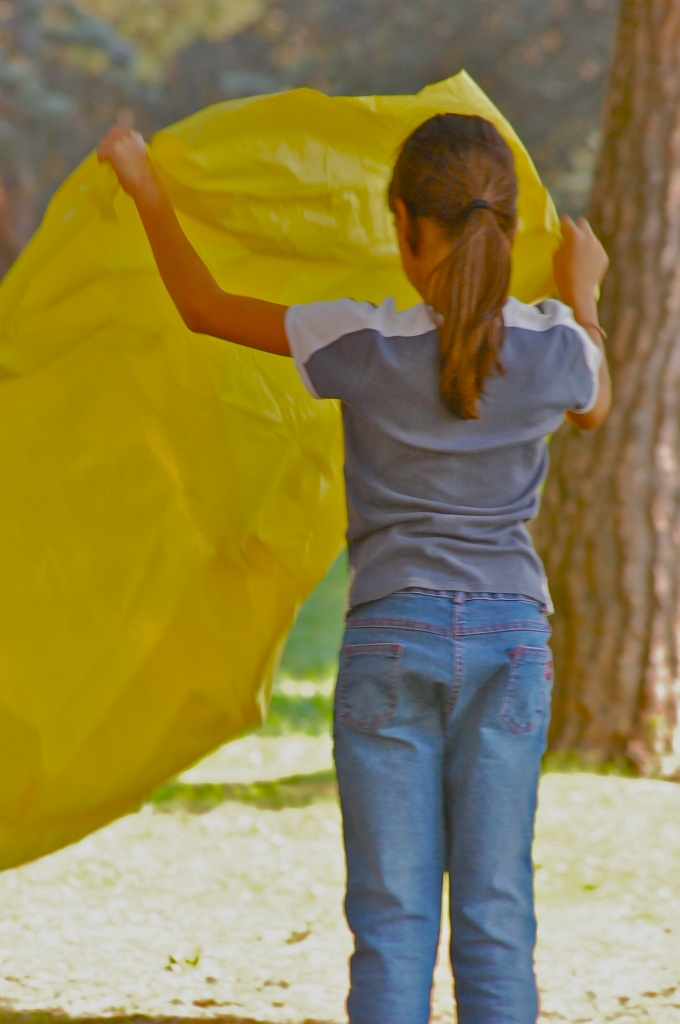 Il giallo di un picnic di mozart