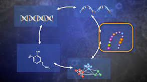 Omics: Genomics, Proteomics, Transcriptomics thumbnail