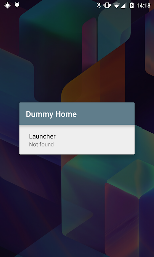 Dummy Home