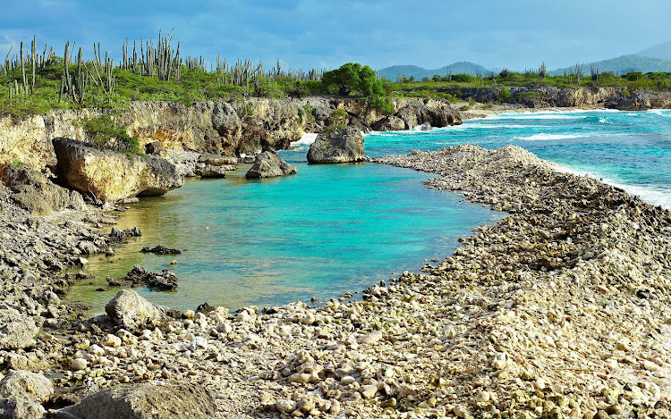 A stretch of wild, pristine coastline in Bonaire. 