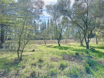 terrain à Loriol-du-Comtat (84)