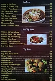 Surya Family Restaurant menu 8