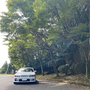 チェイサー JZX100