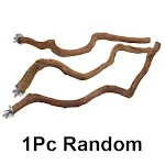 11.81in