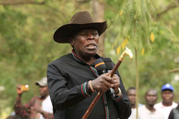 Democratic Action Party Leader Eugene Wamalwa.