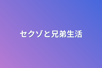 セクゾと兄弟生活