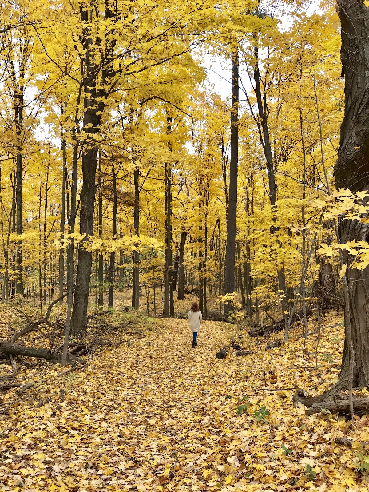 places to see fall foliage