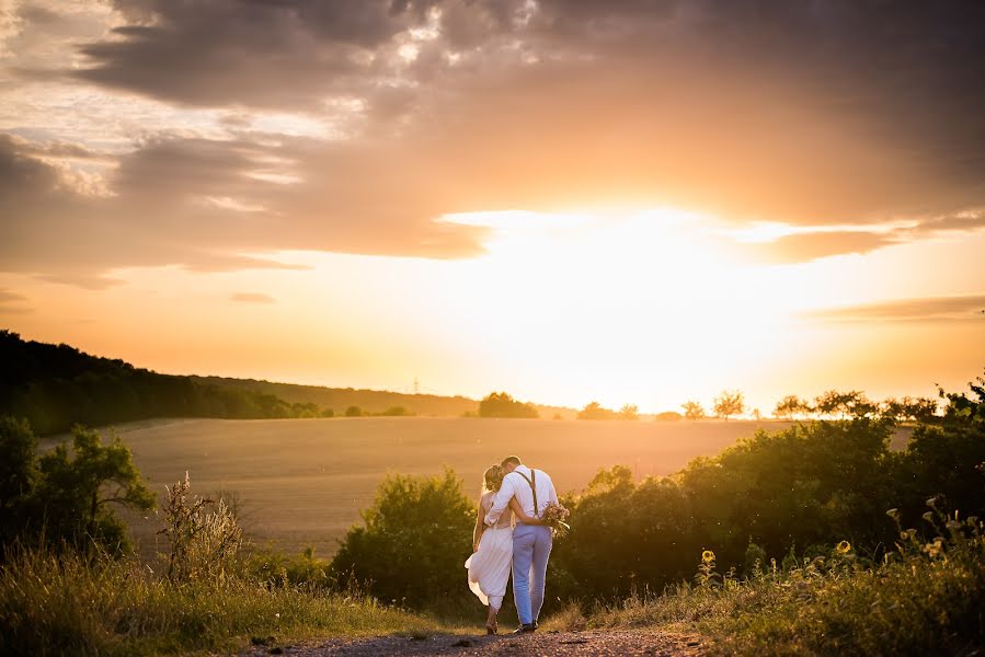 Fotografo di matrimoni Reza Shadab (shadab). Foto del 3 novembre 2017