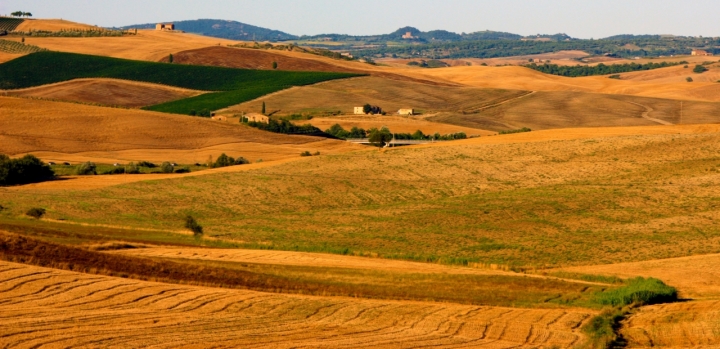 Colori Toscani di andyimage