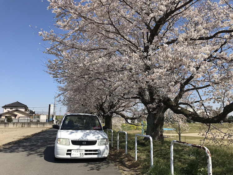 の投稿画像6枚目