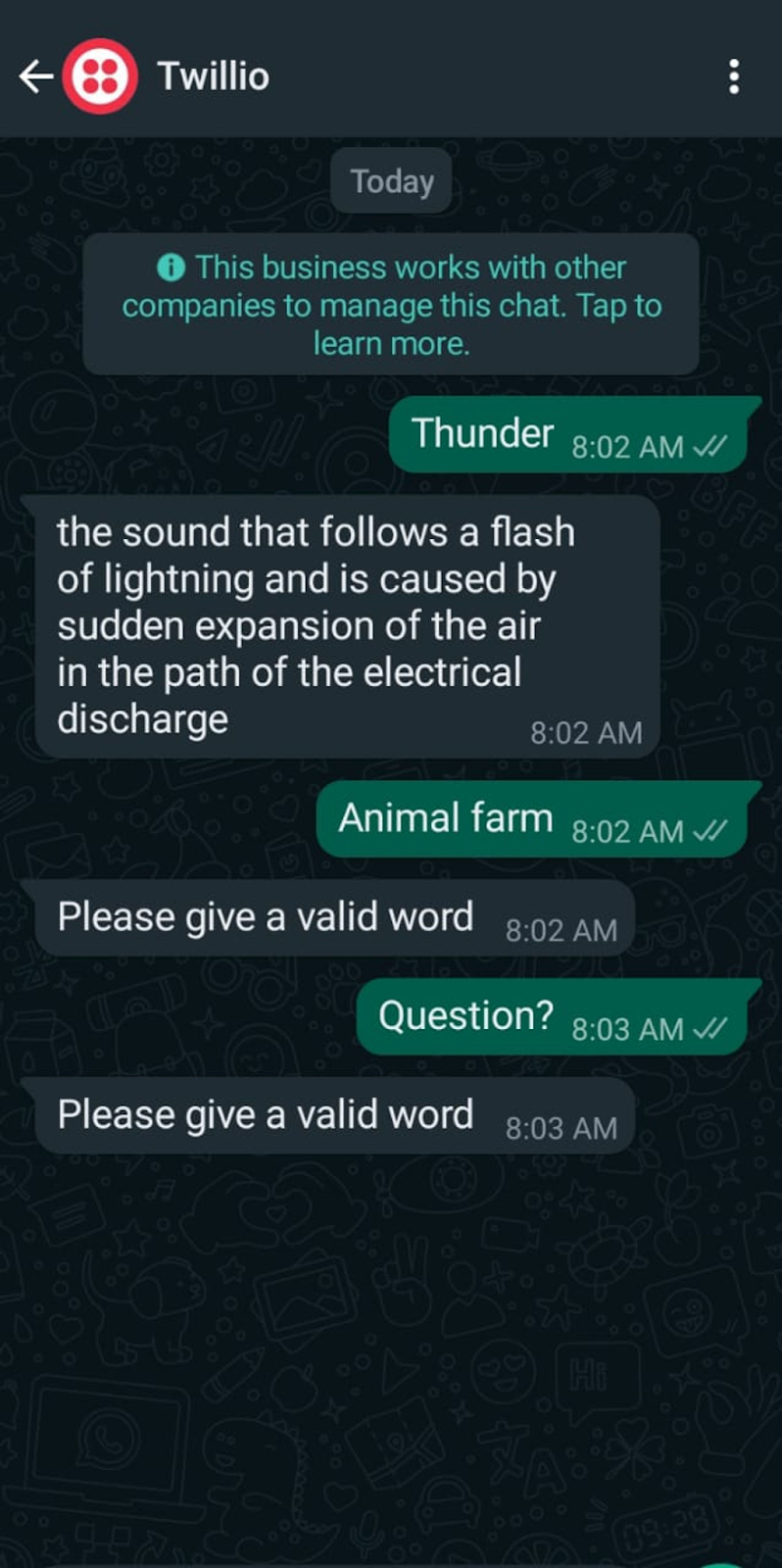 Image showing a chat with the dictionary chatbot