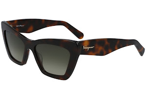 219 BROWN TORTOISE