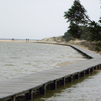 passeggiata lungospiaggia  di 