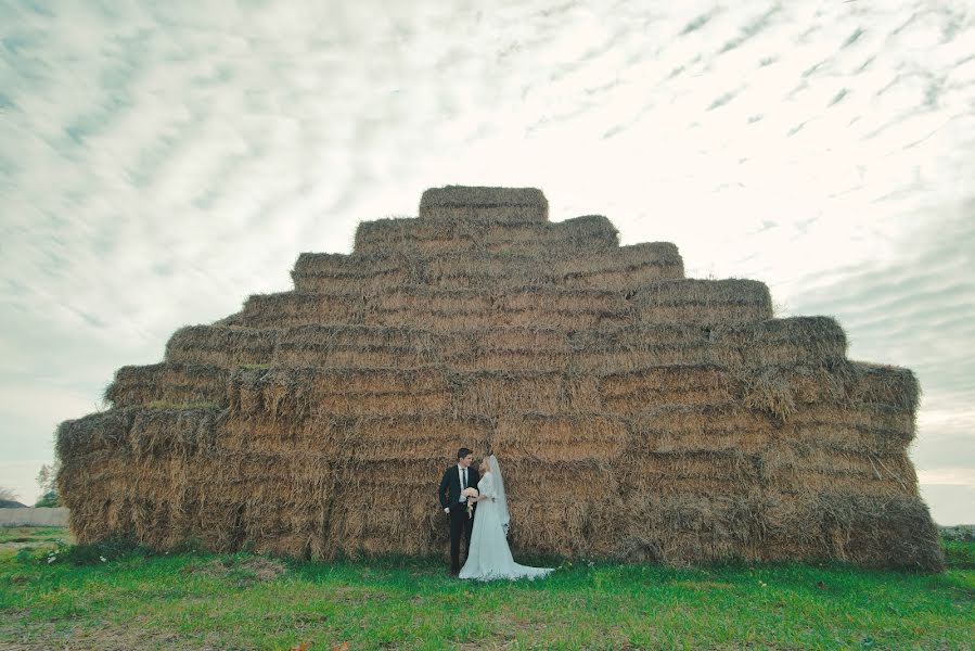 Wedding photographer Bogdan Mikhalevich (mbphoto). Photo of 11 January 2016