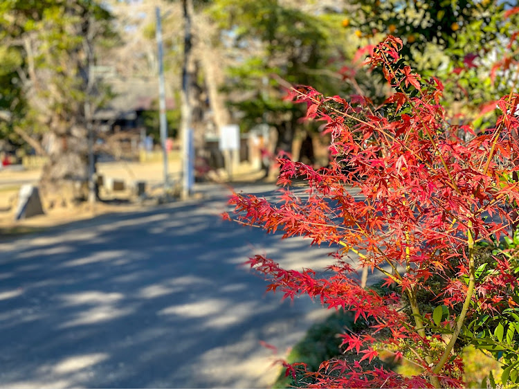 の投稿画像7枚目