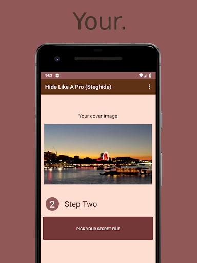 Screenshot Hide Like A Pro: A Privacy Gua