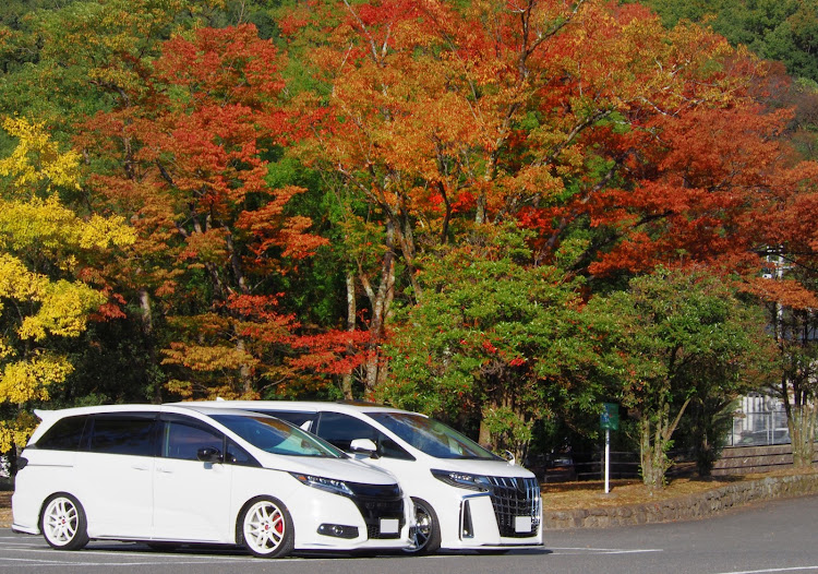 オデッセイの生きています・お久しぶりです・久々にやります・ホイールって車の印象一番変えるよね・良くも悪くもに関するカスタム事例の投稿画像4枚目