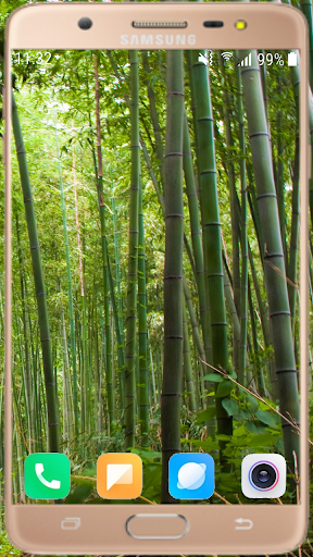 Bamboo Wallpaper Best HD