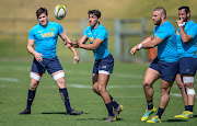 Argentina will look for a good result against the Springboks in their last match before the 2019 Rugby World Cup in Japan.