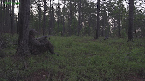 Late Season Gobblers thumbnail