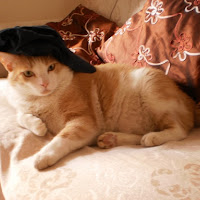 Anche i gatti amano i cappelli. di 