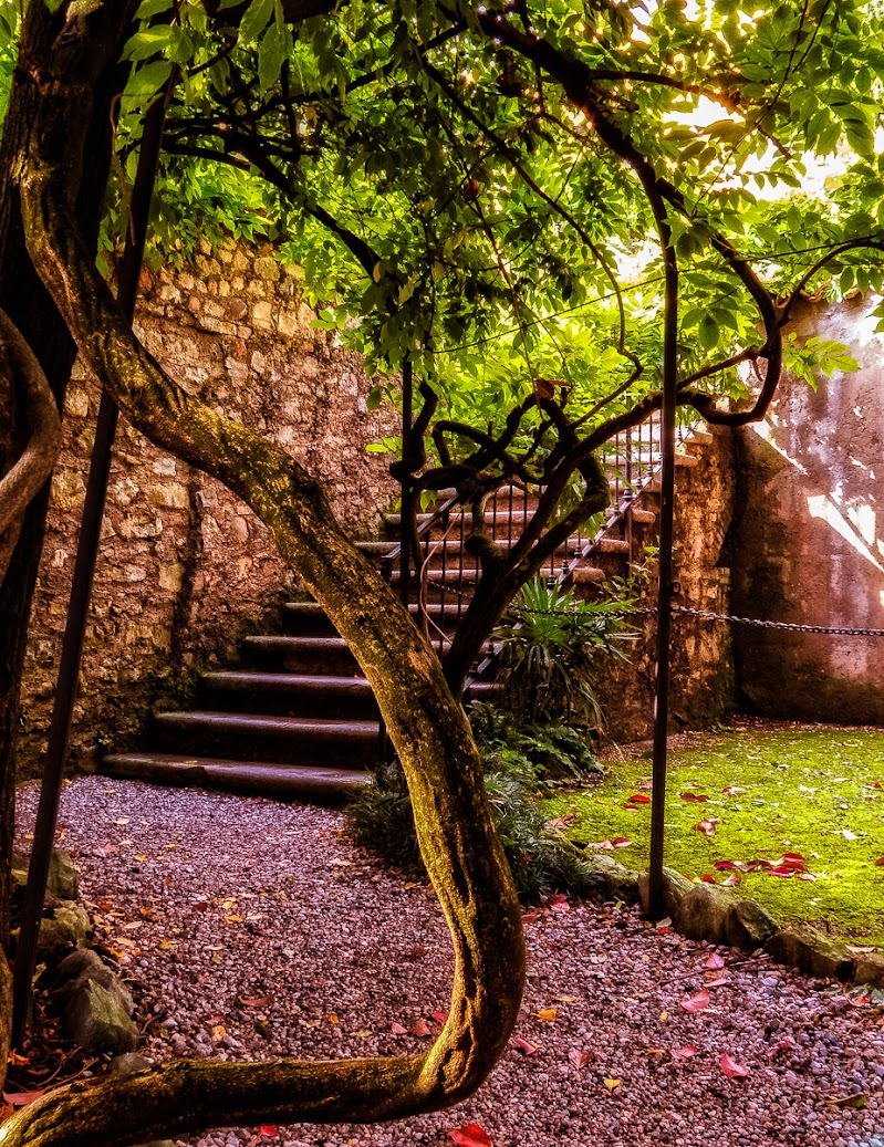 scala del giardino pensile di enricosottocorna