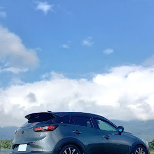 CX-3 DKEFW