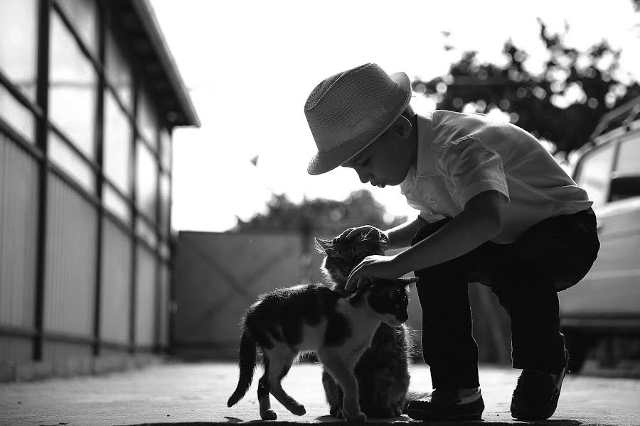 Photographe de mariage Emil Doktoryan (doktoryan). Photo du 10 septembre 2015