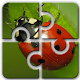 Ladybug HD Jigsaw Puzzle Free Install on Windows