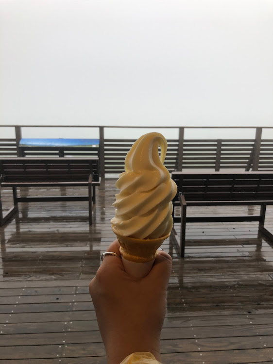 セレナのエクストレイル・コラボ・ソフトクリーム・清泉寮・水信玄餅に関するカスタム事例の投稿画像3枚目