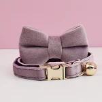 bow tie collar