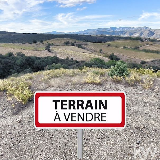 Vente terrain  9990 m² à Montner (66720), 19 000 €