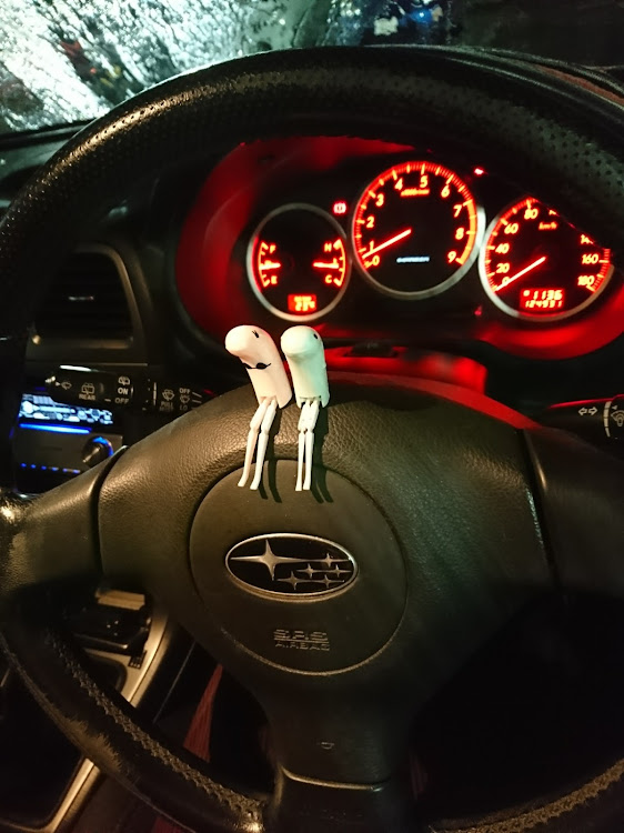 インプレッサ WRXの【CT愛猫部】・ミシシッピーアカミミガメ・チャボ・オカメインコ・猫紹介に関するカスタム事例の投稿画像2枚目