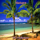 Download HD Nature Wallpaper For PC Windows and Mac